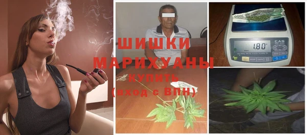 молекула духа Ладушкин