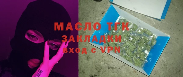 молекула духа Ладушкин
