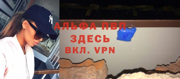 молекула духа Ладушкин