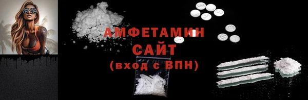 молекула духа Ладушкин