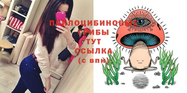 молекула духа Ладушкин