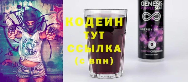 молекула духа Ладушкин